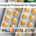 Viagra Professional Set levitra2